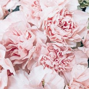 Meet your Posher, Asya